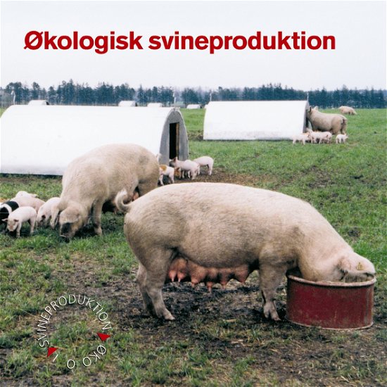 Cover for Erik Nørgaard · Økologisk svineproduktion (Book) (2002)