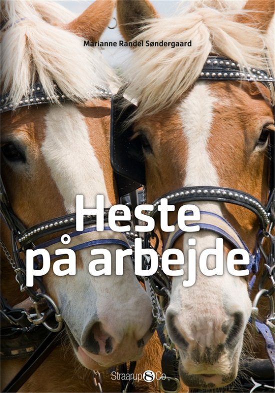 Midi: Heste på arbejde - Marianne Randel Søndergaard - Bøger - Straarup & Co - 9788793592155 - 5. februar 2018