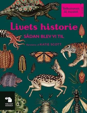 Cover for Fiona Munro &amp; Ruth Symons · Velkommen til museet: Livets historie (Hardcover Book) [1er édition] (2023)