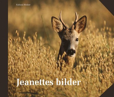 Cover for Birgitta Stribe Jeanette Håkansson · Jeanettes bilder : vår, sommar, höst och vinter (Hardcover Book) (2013)