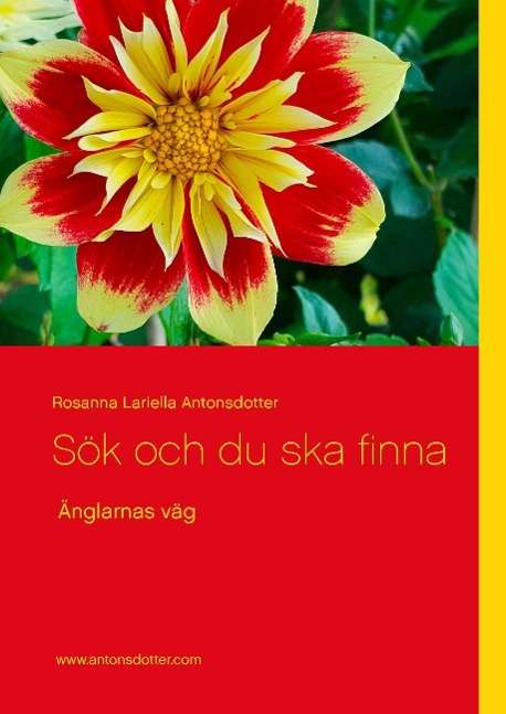 Cover for Rosanna Lariella Antonsdotter · Sök och du ska finna : änglarnas väg (Hardcover Book) (2016)