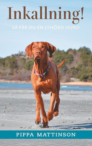 Cover for Pippa Mattinson · Inkallning! Så får du en lyhörd hund (Book) (2021)