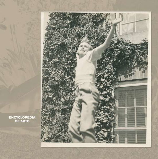 Cover for Arto Lindsay · Encyclopedia of Arto (LP) (2015)