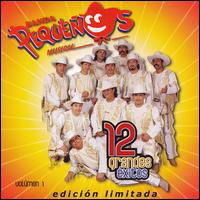 12 Grandes Exitos 1 - Banda Pequenos Musical - Musikk - WEA Latina - 0825646999156 - 3. april 2007
