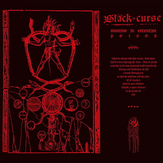 Burning in Celestial Poison (Jewel Case) - Black Curse - Musik - HIGH ROLLER RECORDS - 4251267717156 - 25. Oktober 2024