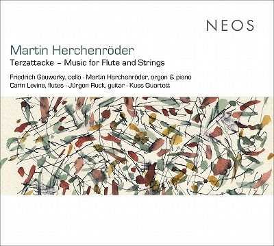 Cover for Gauwerky · Herchenroeder: Terzattacke - Music For Lute &amp; Strings (CD) (2022)