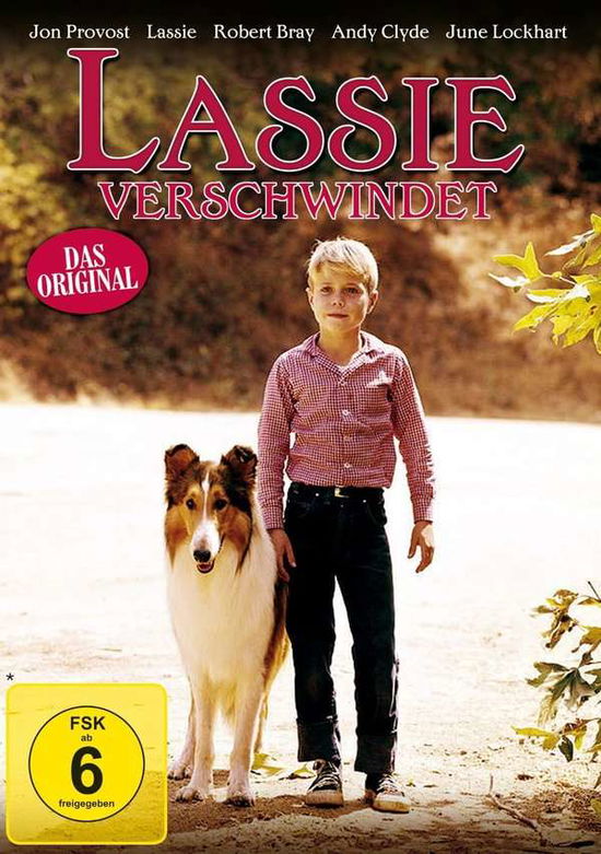 Cover for John Englisch · Lassie Verschwindet (DVD) (2020)