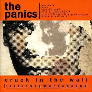 Cover for Panics · Crack in the Wall (CD) (2004)