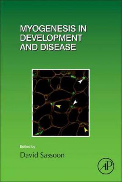 Cover for David Sassoon · Myogenesis in Development and Disease (Inbunden Bok) (2018)