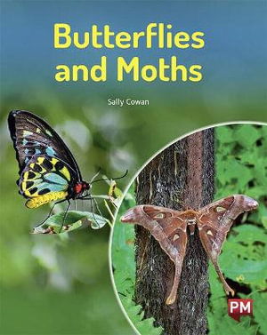 Cover for Sally Cowan · Butterflies and Moths (Paperback Book)