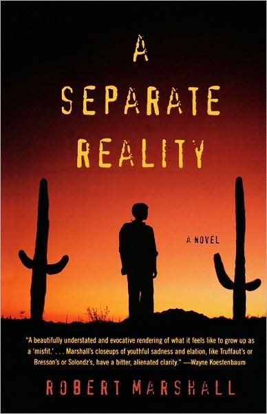 A Separate Reality: A Novel - Perseus - Books - Carroll & Graf Publishers Inc - 9780786717156 - October 10, 2006