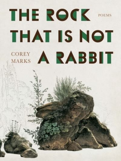 Cover for Corey Marks · The Rock That is Not a Rabbit: Poems (Paperback Book) (2024)