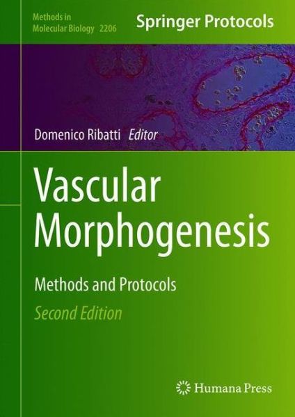 Vascular Morphogenesis: Methods and Protocols - Methods in Molecular Biology - - Books - Springer-Verlag New York Inc. - 9781071609156 - August 5, 2020