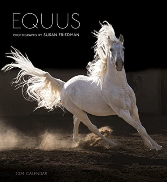 Cover for Pomegranate · Equus: Photographs by Susan Friedman 2024 Wall Calendar (Paperback Bog) (2023)