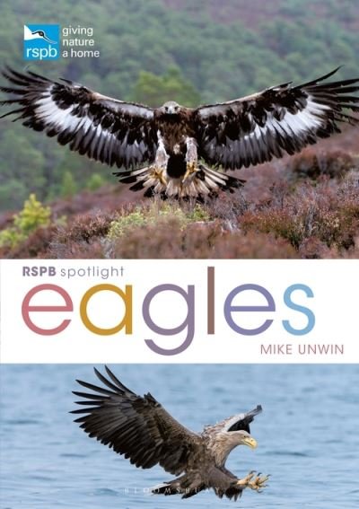 RSPB Spotlight: Eagles - RSPB - Mike Unwin - Bøker - Bloomsbury Publishing PLC - 9781399402156 - 25. november 2021