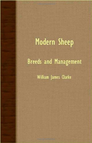 Cover for William James Clarke · Modern Sheep - Breeds and Management (Paperback Book) (2007)