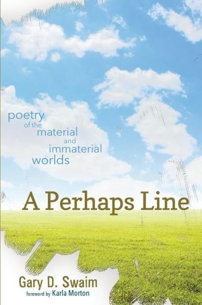 Cover for Gary D Swaim · A Perhaps Line (Pocketbok) (2014)