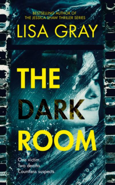 Cover for Lisa Gray · The Dark Room (CD) (2022)