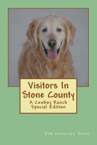 Cover for Kim Anderson Stone · Visitors In Stone County (Pocketbok) (2018)