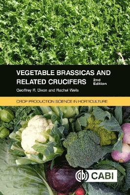 Cover for Dixon, Geoffrey (University of Reading, UK) · Vegetable Brassicas and Related Crucifers - Crop Production Science in Horticulture (Paperback Book) (2024)