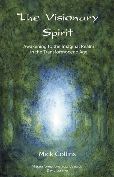Cover for Mick Collins · The Visionary Spirit: Awakening to the Imaginal Realm in the Transformocene Age (Paperback Book) (2018)