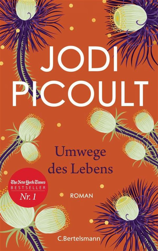 Cover for Jodi Picoult · Umwege des Lebens (Innbunden bok) (2021)