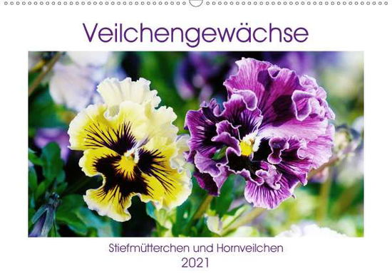 Cover for Kruse · Veilchengewächse - Stiefmütterche (Book)