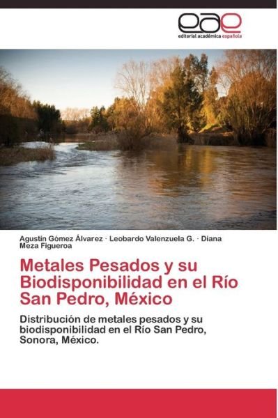 Cover for Meza Figueroa Diana · Metales Pesados Y Su Biodisponibilidad en El Rio San Pedro, Mexico (Paperback Book) (2011)