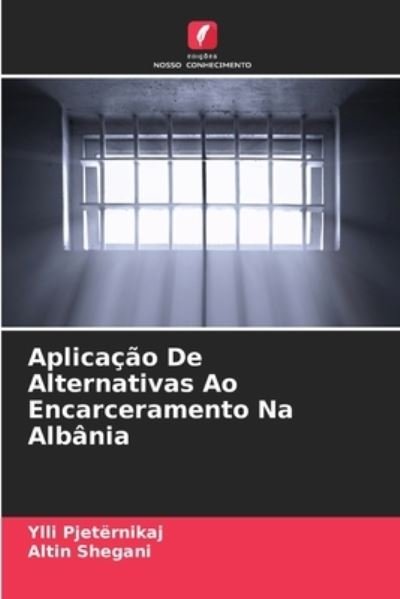 Cover for Ylli Pjeternikaj · Aplicacao De Alternativas Ao Encarceramento Na Albania (Paperback Bog) (2021)