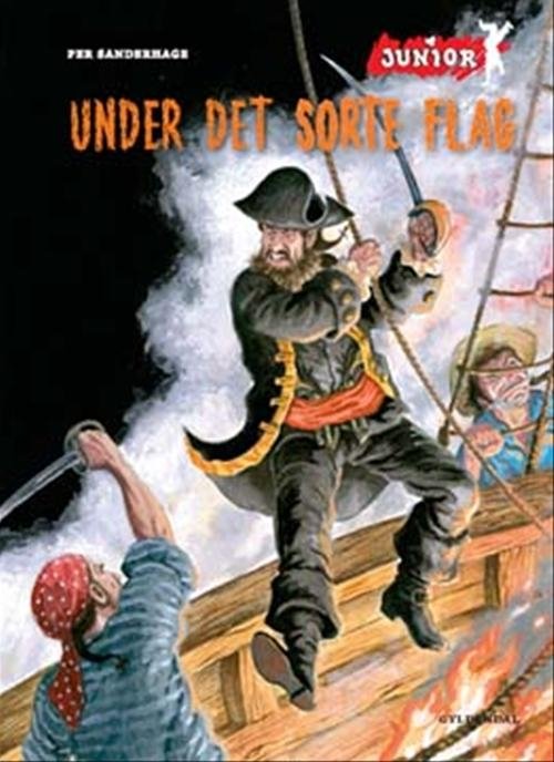 Cover for Per Sanderhage · Dingo. Junior: Under det sorte flag (Sewn Spine Book) [2nd edition] (2008)