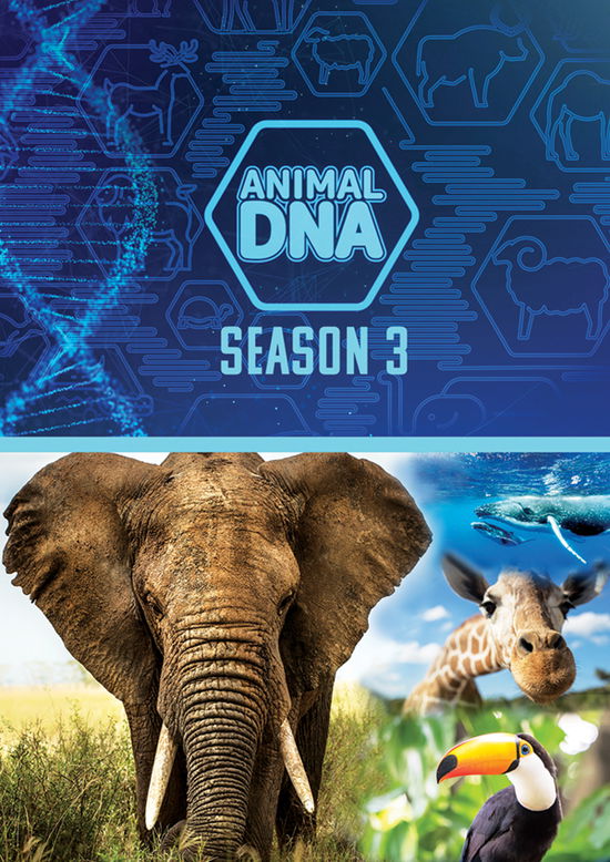 Cover for Feature Film · Animal Dna: Season Three (DVD) (2024)