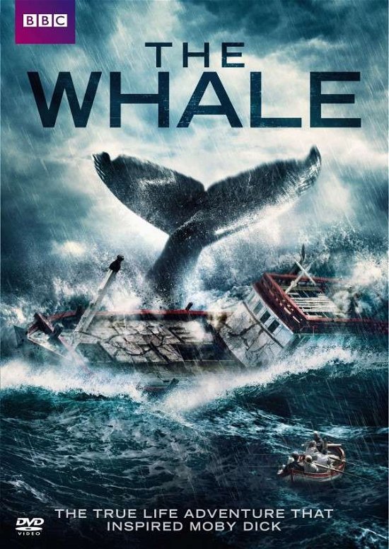 Cover for Whale (DVD) (2015)
