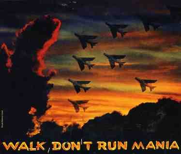 Walk Don't Run Mania - Walk Don't Run Mania - Musiikki - MAGIC - 3700139305157 - tiistai 10. toukokuuta 2005