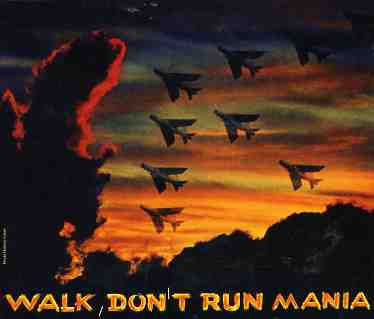 Cover for Walk Don't Run Mania (CD) (2005)