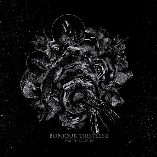 Cover for Bonjour Tristesse · Par Un Sourire (CD) (2015)