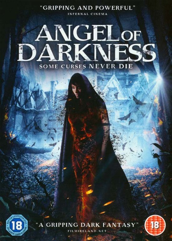 Cover for Angel of Darkness · Angel Of Darkness (DVD) (2016)