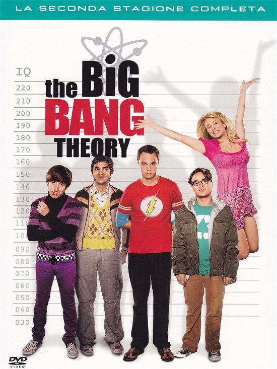 Cover for Kaley Cuoco,johnny Galecki,jim Parsons · Big Bang Theory (The) - Stagione 02 (DVD) (2013)
