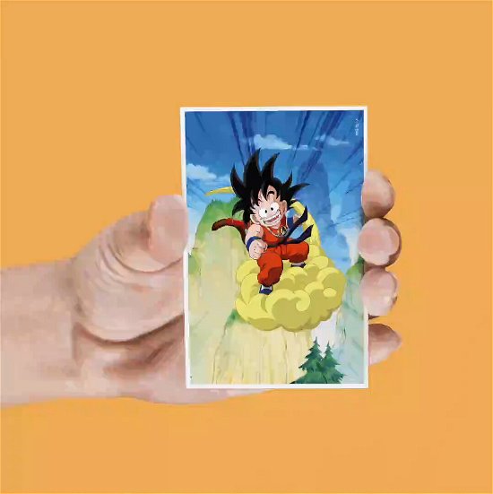Cover for Sd Toys · Dragon Ball 4 Lenticular Magnets Set (Legetøj) (2023)