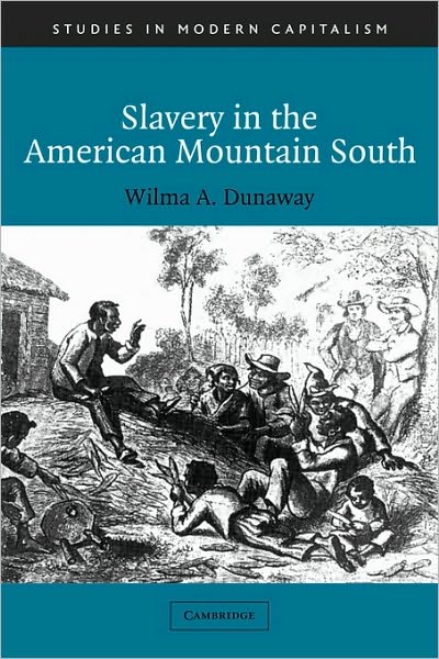 Cover for Dunaway, Wilma A. (Virginia Polytechnic Institute and State University) · Slavery in the American Mountain South - Studies in Modern Capitalism (Paperback Book) (2003)