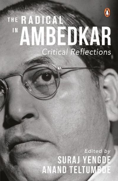 Cover for Anand Teltumbde · The Radical in Ambedkar: Critical Reflections (Hardcover Book) (2018)