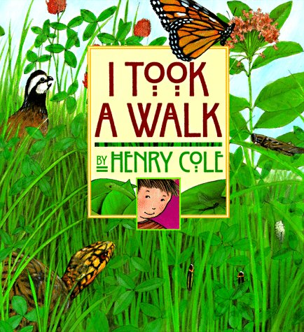 Cover for Henry Cole · I Took a Walk (Hardcover Book) [1st Ed edition] (1998)