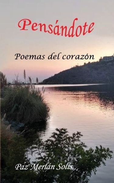 Cover for Paz Merlan Solis · Pensandote (Paperback Book) (2019)