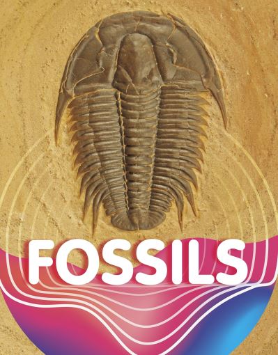 Cover for Keli Sipperley · Fossils - Earth Materials and Systems (Hardcover Book) (2021)