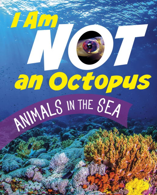 Cover for Mari Bolte · I Am Not an Octopus: Animals in the Ocean - What Animal Am I? (Hardcover Book) (2023)