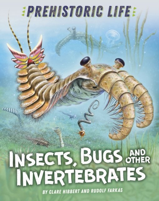 Cover for Clare Hibbert · Prehistoric Life: Insects, Bugs and Other Invertebrates - Prehistoric Life (Paperback Bog) [Illustrated edition] (2023)
