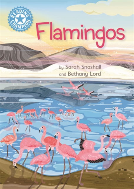 Cover for Sarah Snashall · Reading Champion: Flamingos: Independent Reading Non-Fiction Blue 4 - Reading Champion (Hardcover Book) (2022)