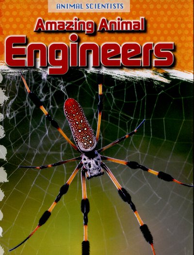 Cover for Leon Gray · Amazing Animal Engineers (Hardcover Book) (2015)