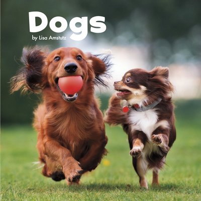 Cover for Lisa J. Amstutz · Dogs (Hardcover Book) (2018)