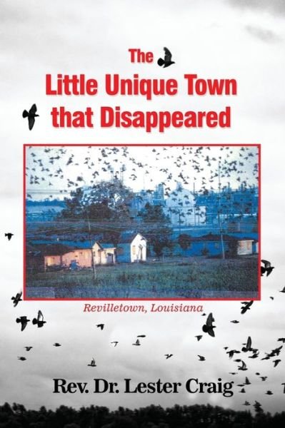 Cover for Lester Craig · The Little Unique Town that Disappeared (Paperback Book) (2017)