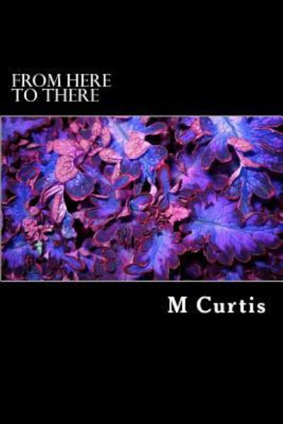 Cover for M a Curtis · From Here to There (Taschenbuch) (2013)
